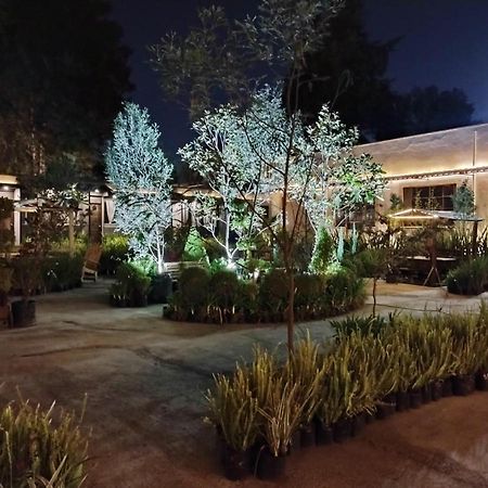 Utopia Hotel Boutique 멕시코 시 외부 사진